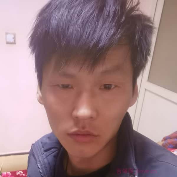 万安征婚相亲网